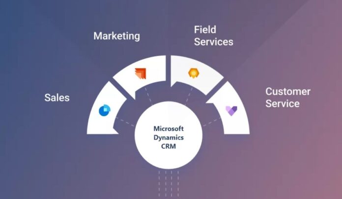 Exploring Microsoft Tools That Streamline Customer Management