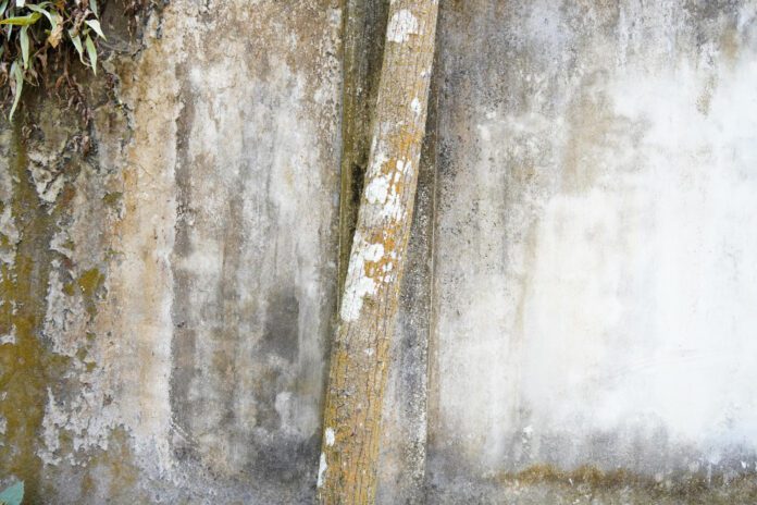 Older Homes and Specialized Home Inspection Considerations