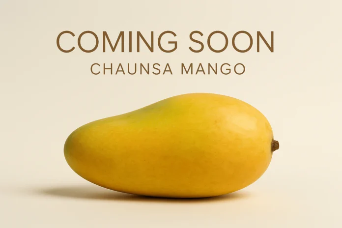 Best Pakistani Mangoes Online